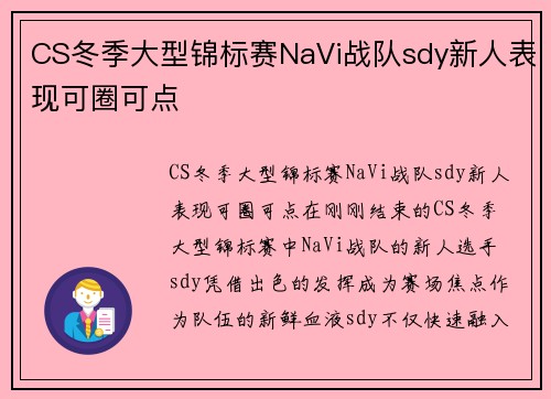 CS冬季大型锦标赛NaVi战队sdy新人表现可圈可点